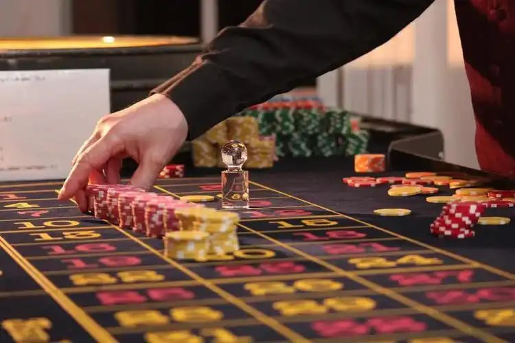 New Releases Game 